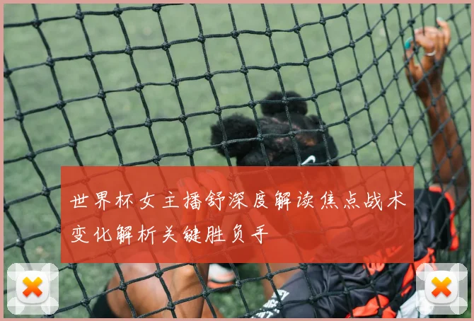 世界杯女主播舒深度解读焦点战术变化解析关键胜负手