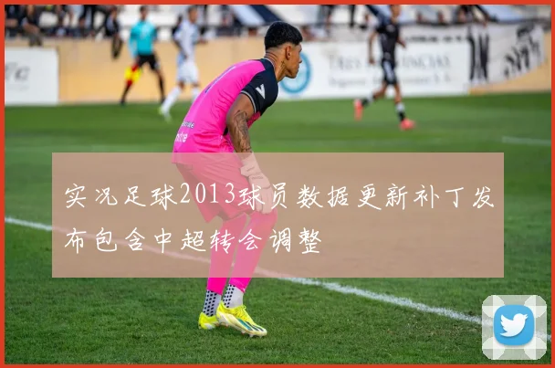 实况足球2013球员数据更新补丁发布包含中超转会调整