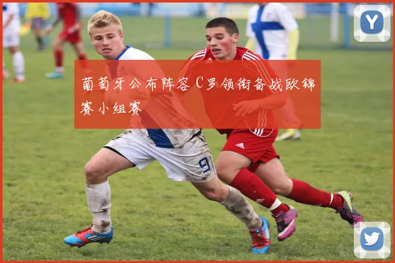 葡萄牙公布阵容 C罗领衔备战欧锦赛小组赛