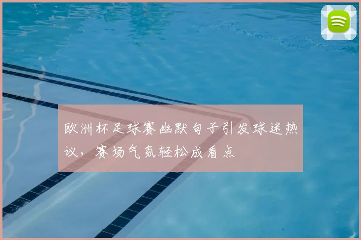 欧洲杯足球赛幽默句子引发球迷热议，赛场气氛轻松成看点