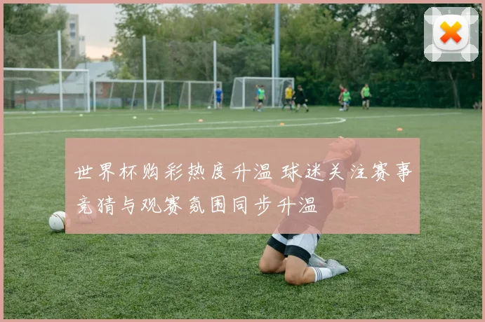 世界杯购彩热度升温 球迷关注赛事竞猜与观赛氛围同步升温