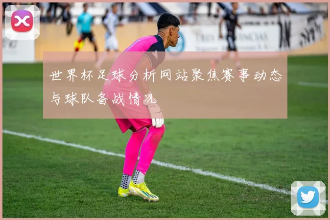 世界杯足球分析网站聚焦赛事动态与球队备战情况