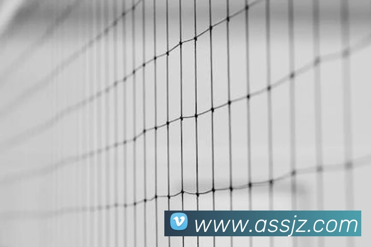 开云在线手机登陆发展历程